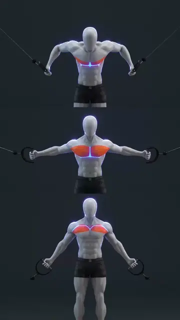 🔥 Cable Chest Fly (Upper, Mid, Lower)