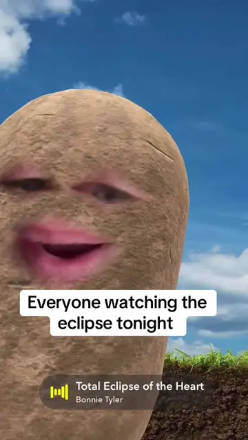 Totally eclipse #sun #moon #pov #bonnietyler 