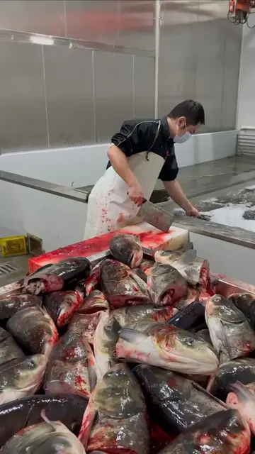 inside Chinese food factory, Fish Head , Steamed Fish Head with Chopped Chili , 