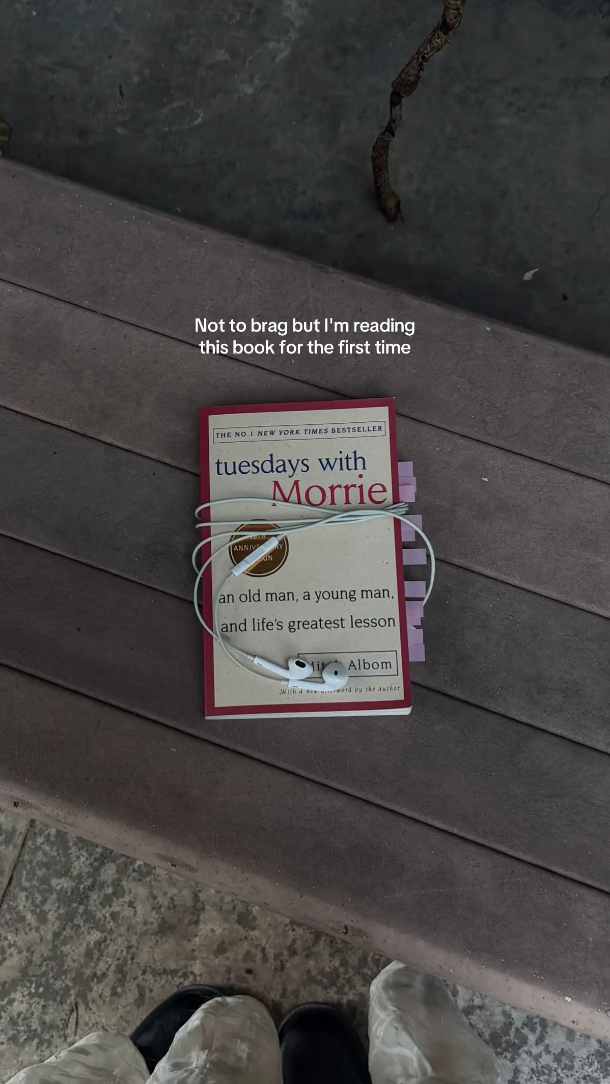 #tuesdaywithmorrie 