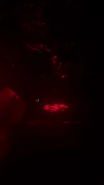 All honesty: 3/10 experience. I don’t recommend because the bioluminescent bay w