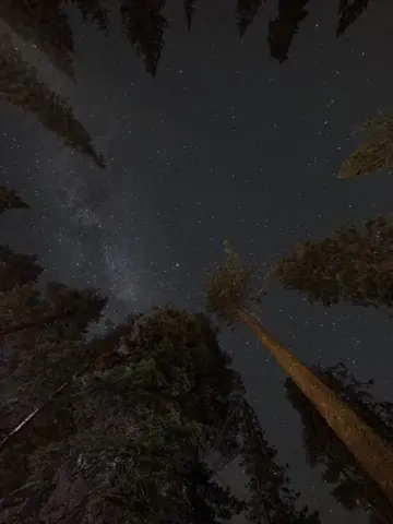 Last year’s perseid meteor shower! Filmed on @insta360 official Ace Pro 2 Code: 