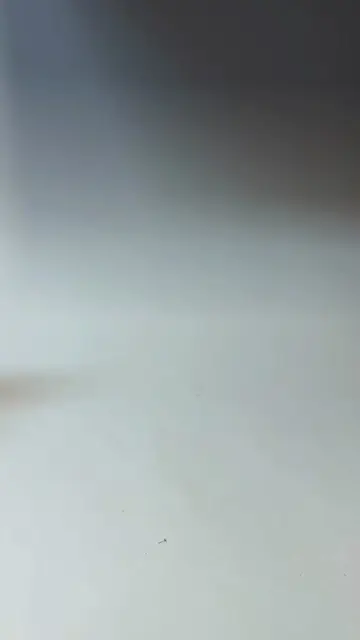 Questa statuetta di Snoop Dogg è spettacolare 🤩 Anche se è fatta in stile caric