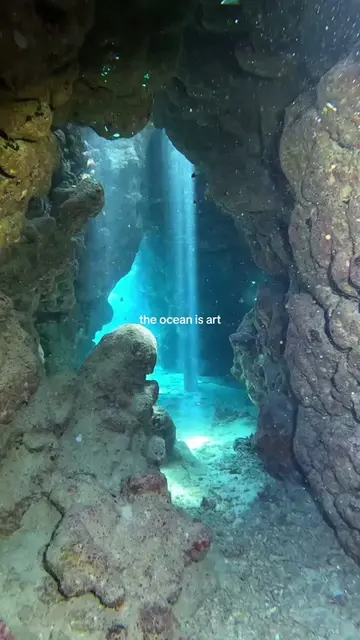 the beauty lies underneath #ocean #underwater #nature 