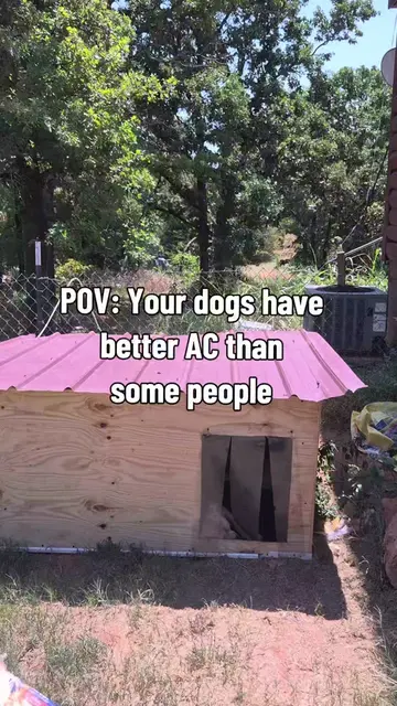 It’s 100° outside, so naturally my husband installed an AIR in the dog house. 😂