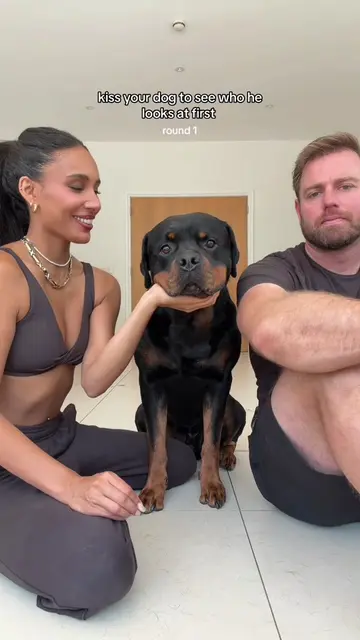 he walked off 😳(part 2) #rottweiler #saxophone #dog 