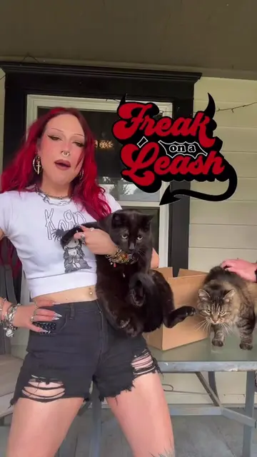 My cats got a PR package from Jonathan Davis's pet brand, Freak on a Leash! @Fre