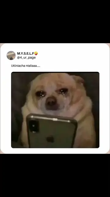 Ukiniacha ntaliaaa 😮‍💨 @African Princess @billnass  #lyrics #dogsmemes #viral 