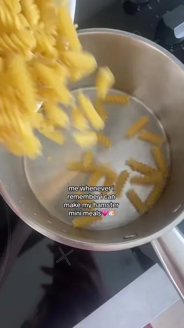 Making my hamster a mini pasta because apparently I thought she needed a three-c