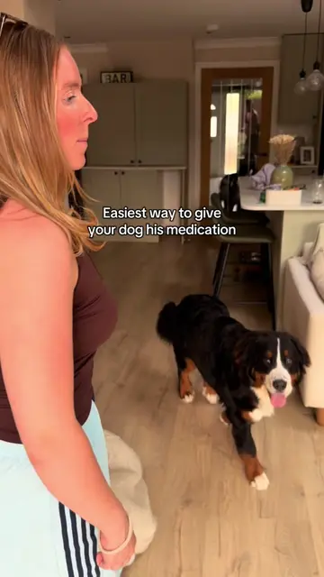 Reverse psychology at its finest 😅 #funnydog #funnydogvideos #cutepuppy #puppyl