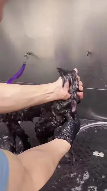 It’s not glamorous. But it’s necessary. *DIY training: Ask your Groomer or Veter