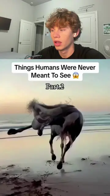 🤯 Things humans were never meant to see! Discover rare moments, hidden secrets,