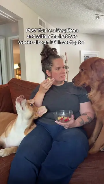 They know every detail of this trial thank to me #dogmom #lindsayclancy #truecri