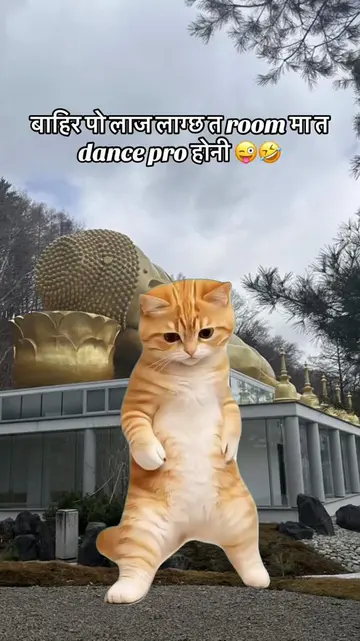 Ki kaso 🤣😜#fypシ゚viral🖤@ĝâyëtrêê🦋🪽 @Mansa bhatta @aaditya Aryan 