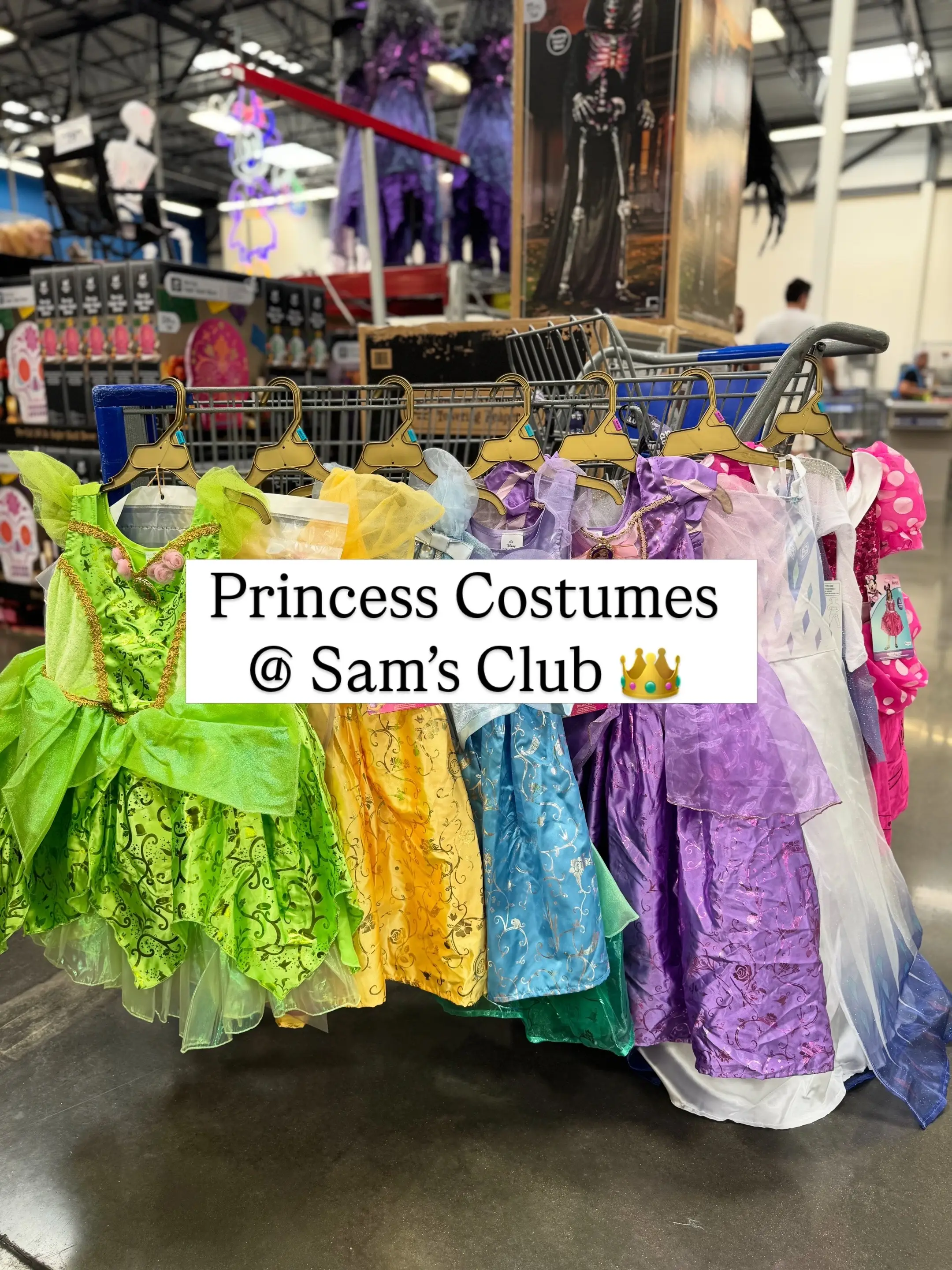 These costumes are the CROWNING achievement of Member’s Mark & Sam’s Club- the q