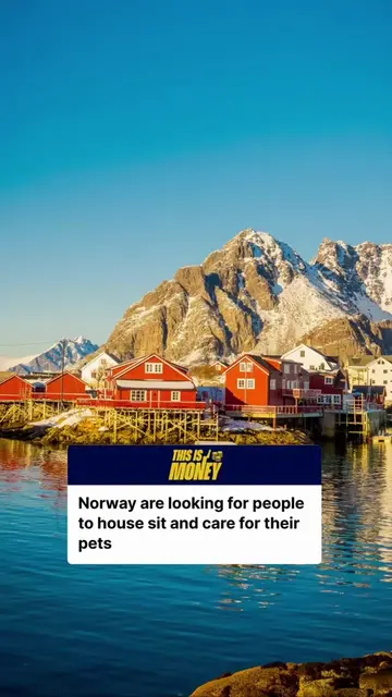 Norway homeowners are looking for people to house sit and care for their pets in
