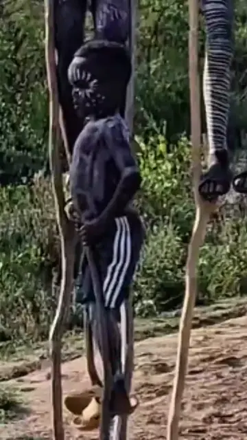 For Them, the Ground Is Dangerous #TikTok #Culture #SurmaPeople #Ethiopia #Stilt