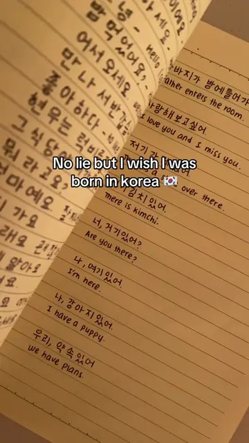 Korea is my dream country 🥹 #LanguageLearning #learnkorean #studykorean #studyt