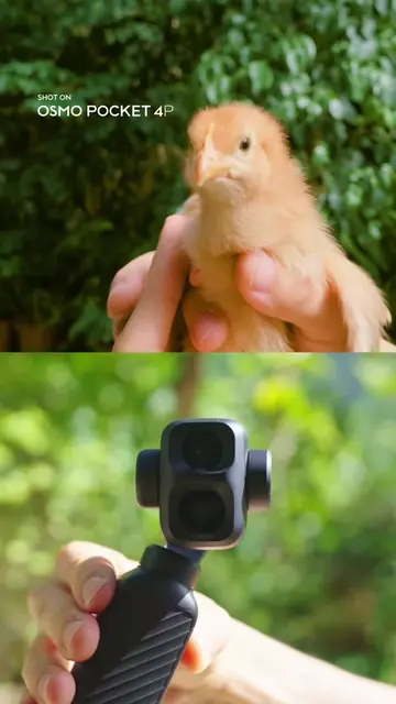 Cutest Stabilization Test You'll See Today. The DJI Osmo Pocket 4P's 3-axis mech