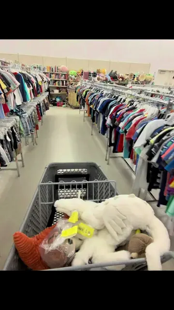My top 10 jellycat thrift store finds and what I paid for them! Comment which on