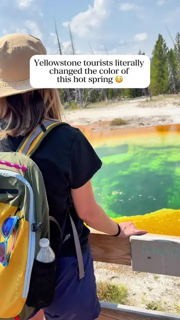 Yellowstone tourists literally changed the COLOR of this hot spring. 😳 Follow @