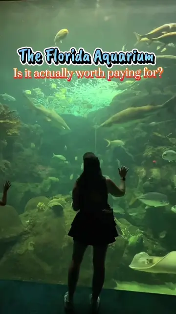 Is the Florida Aquarium actually worth paying for? YES—especially if you’re look