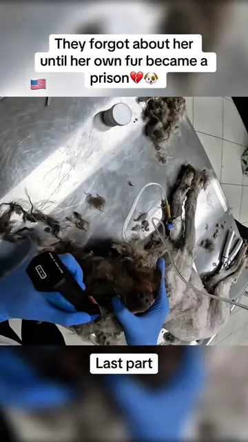 When the last pieces of her matted coat finally came off she looked like a compl