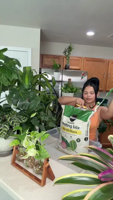 🌱💚 Si amas las plantas como yo, este grupo es para ti. Voy a compartir enlaces