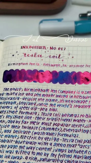✨ Ink Dossier | Entry No. 017 ✨ Consider this your sign to start an Ink Journal 