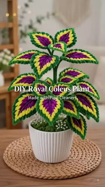 Royal Coleus Pipe clenner (Fuzzy Wire) Plant If you enjoyed our creations, thank