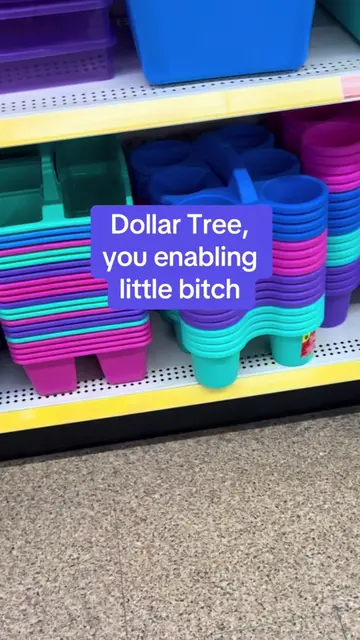 Dollar Tree, you enabling little bitch. 😂  What I believe is a back to school i