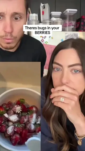 Theres bugs in your BERRIES 7408033721091394862