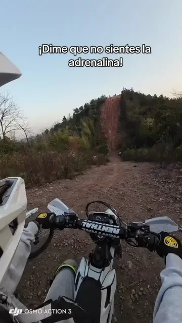 Cero ruido, 100 % puro par en cada sendero. 🌲🔥 Esta Ultra Bee de 21 kW está ro