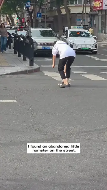 I found an abandoned little hamster 🐹 on the street and then…#rescue #animals #