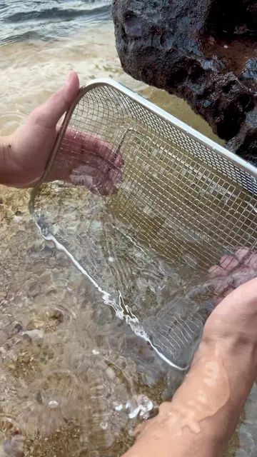 Uncovering a vintage gold ladies watch with red ruby accents under the waves! 🌊