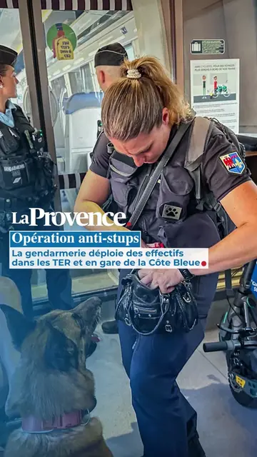 👮 Opération anti-stups dans les TER de la Côte Bleue Un dispositif comportant d