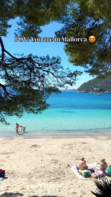This is Playa de Formentor 💛🌴 One of those places in Mallorca where the drive 