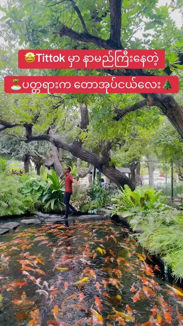 The most trending Forest Cafe 🌲 near Pattaya Beach 🏝️#pattaya #paboon #cafe #ထ