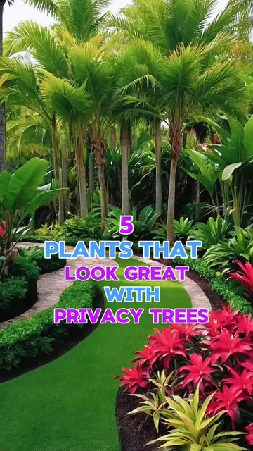 🌳 5 Plants That Look Great With Privacy Trees🌳✨ Looking to make your privacy t