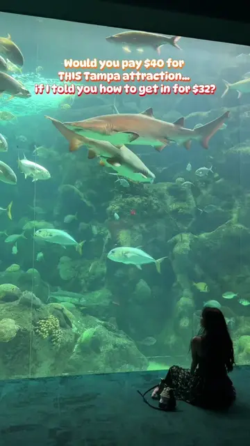 Would you pay $40 per person for The Florida Aquarium? Because before you buy ti