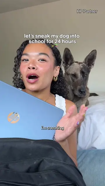 #AD taking my dog to college and taking my @HP OmniBook 3, everywhere I go 💻✨⛺️