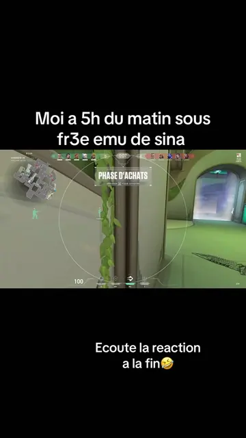 Fr33 emu valorant #Valorant #pourtoi #van152 