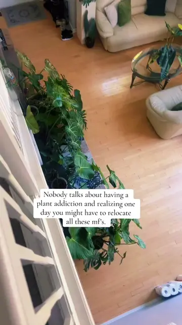 Those who relocated with plants did you take most of them or sell them/gift them