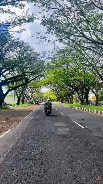 POV: Nemu hotel budget 200ribuan dengan ocean view secantik ini. Kalo stay disin