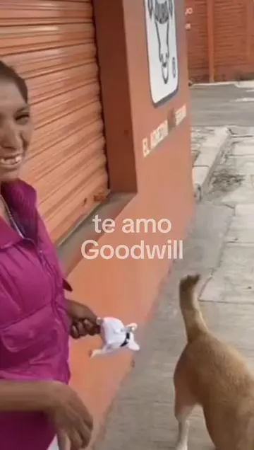 Te amo 🤣🤪