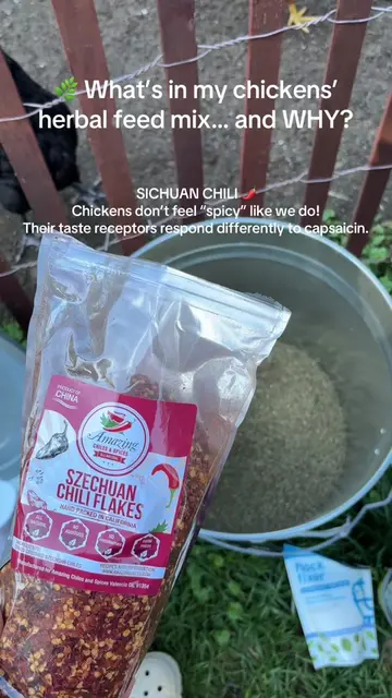 I’ve been adding a little herbal goodness to my chickens’ feed lately 🌿🐔 This 