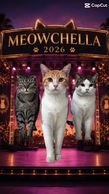 MEOWCHELLA 2026 🐾🎶🇿🇦 is coming are you ready? 😹🔥 The lineup is questionabl