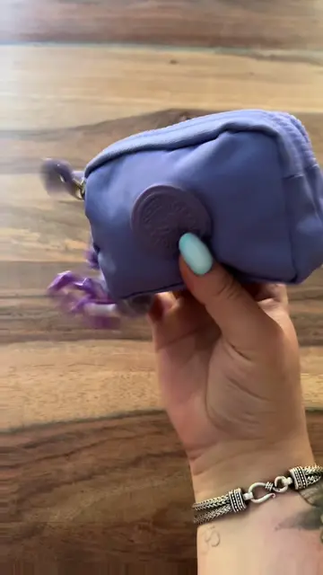 How many fidgets is too many for one bag? Asking for a friend. 🤭💜 The daily st