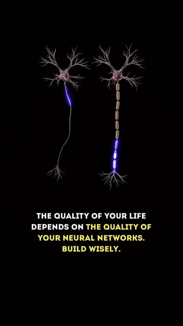 Your brain has 86 billion neurons. Each connected to thousands of others. More c