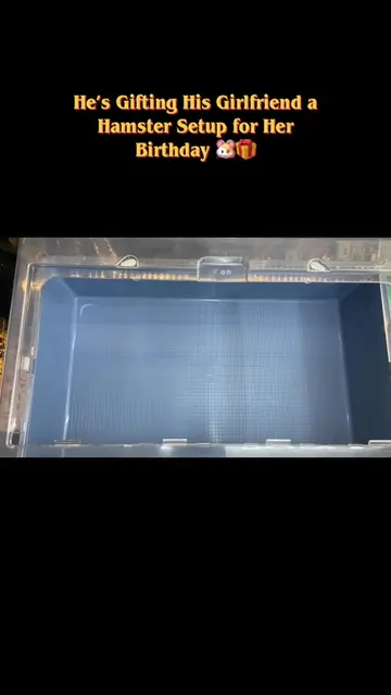 A birthday surprise made extra special 🐹🎁💗 A complete hamster setup, prepared